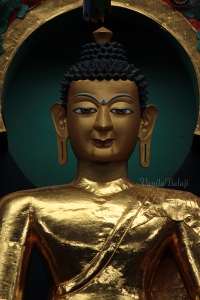 Buddha Sakyamuni.